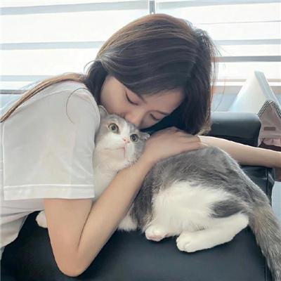 菩提树海报